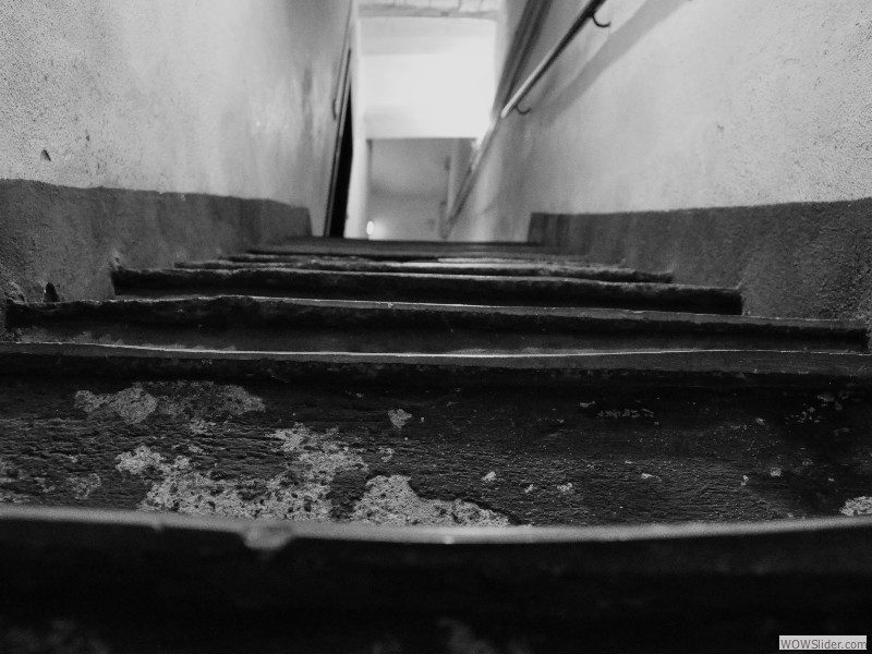 _DSC0246