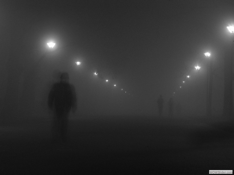 IMG_4299