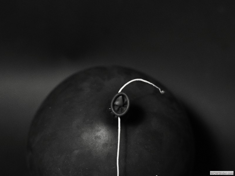 ombelico (1)